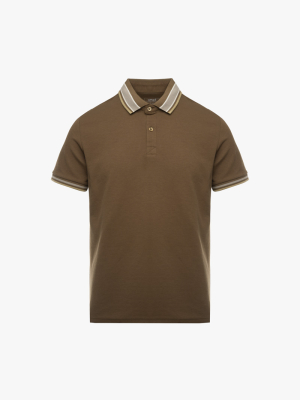 Áo Polo Cổ Phối Màu Form Regular PO172 Màu Nâu