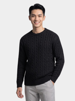 Áo Len Tay Dài Cổ Tròn Dệt Vặn Thừng Form Regular AL014