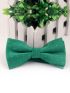 Nơ Đeo Cổ Xanh Lá Cây NN86